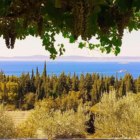 Mediterranean House - Forest Marjan