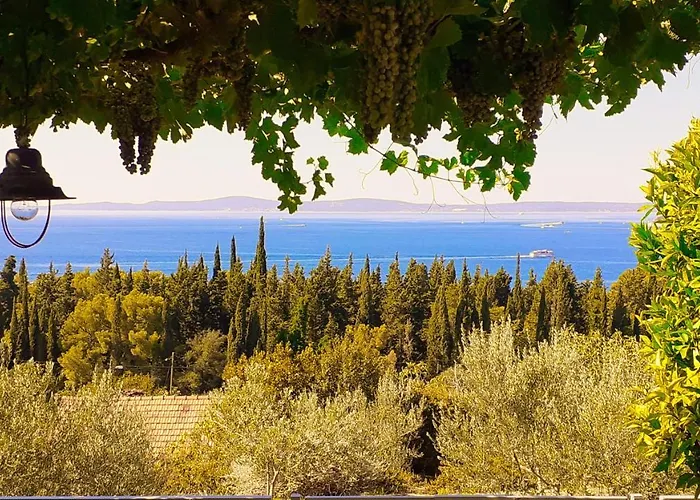 Mediterranean House - Forest Marjan